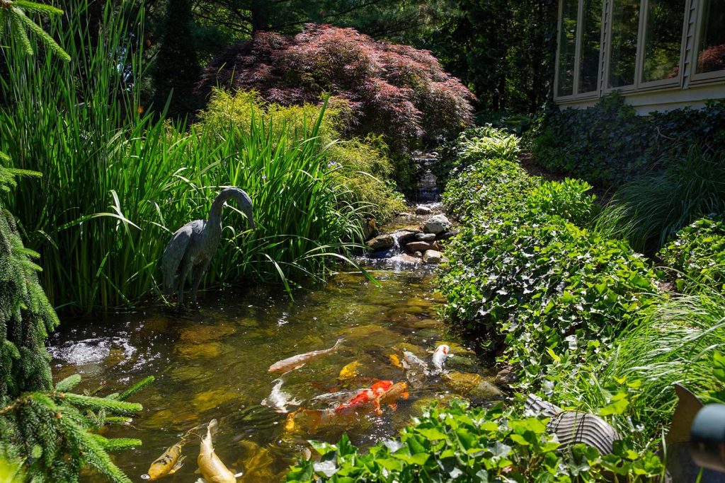 koy pond water feature
